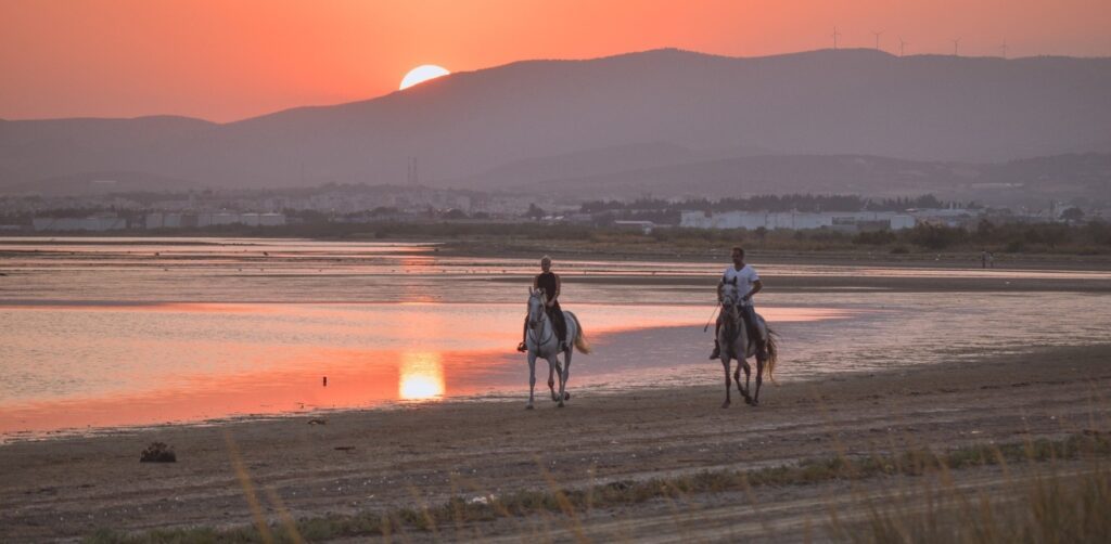 Experiences-horseback-riding-1760-x-862-2.jpg
